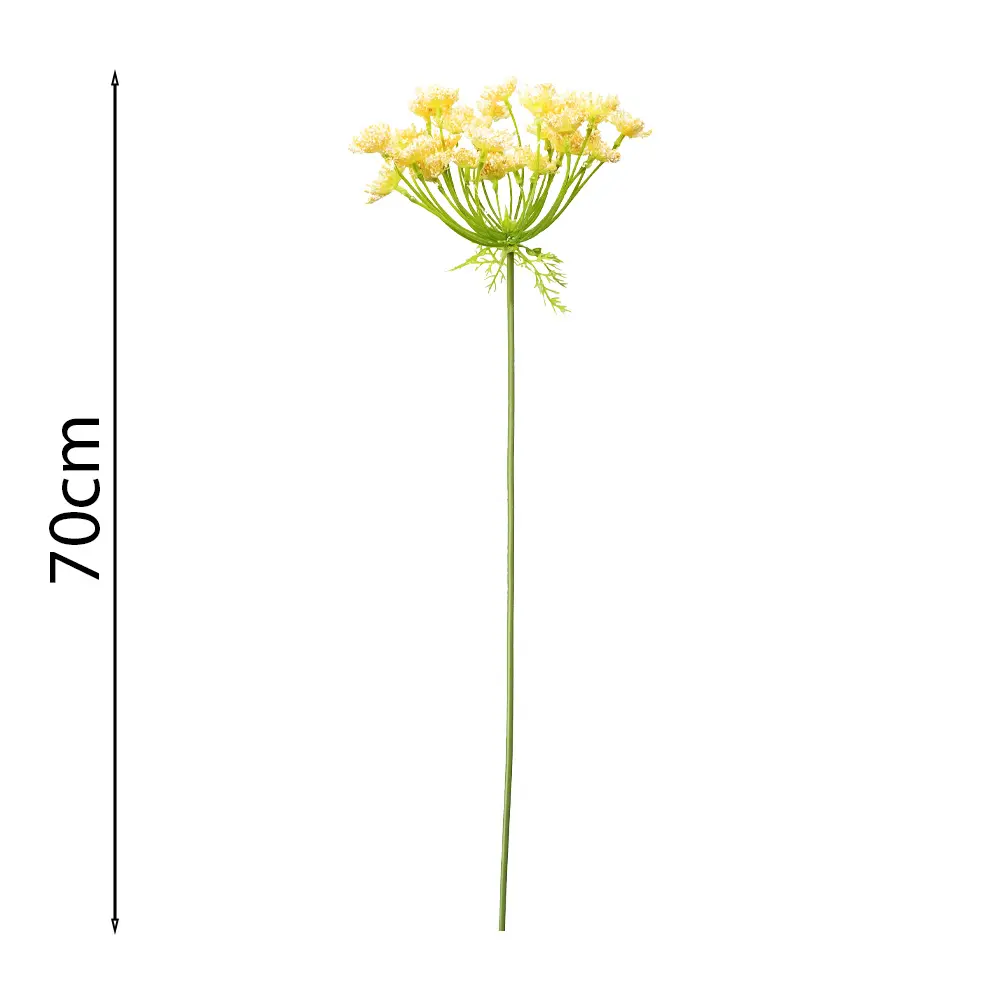 FLOR AMMI