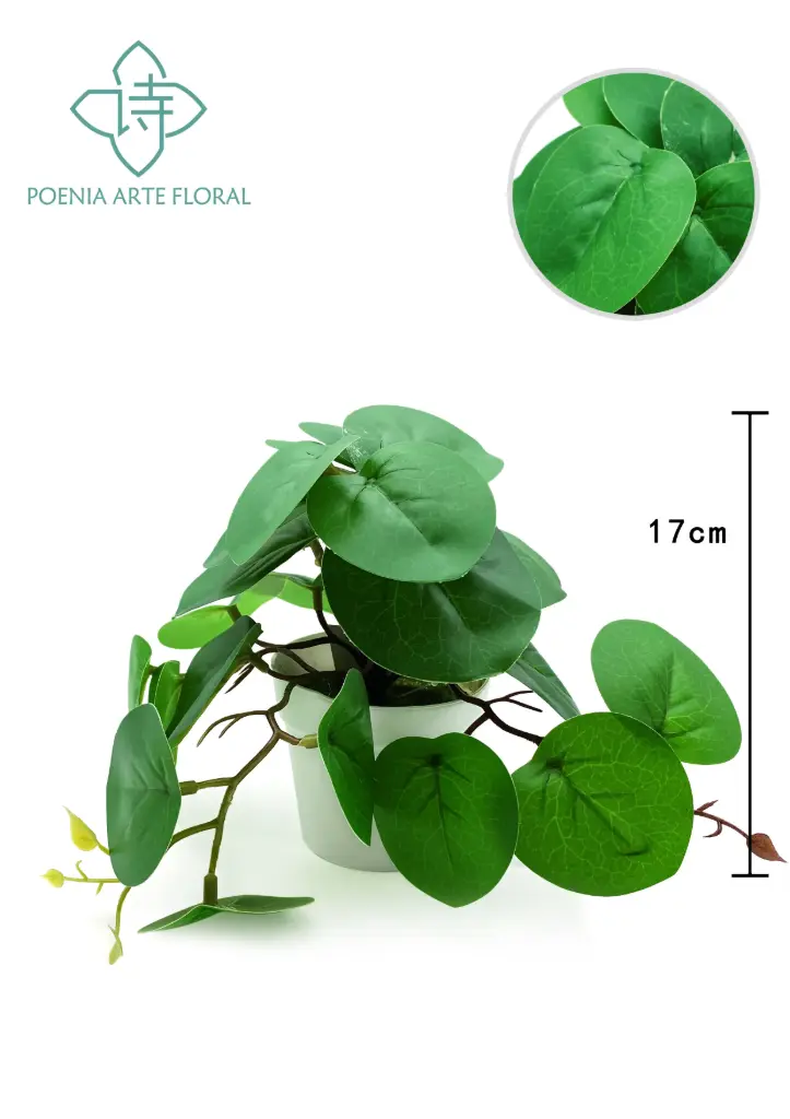 PLANTA 10*10" HOJA BUSH X23LVS