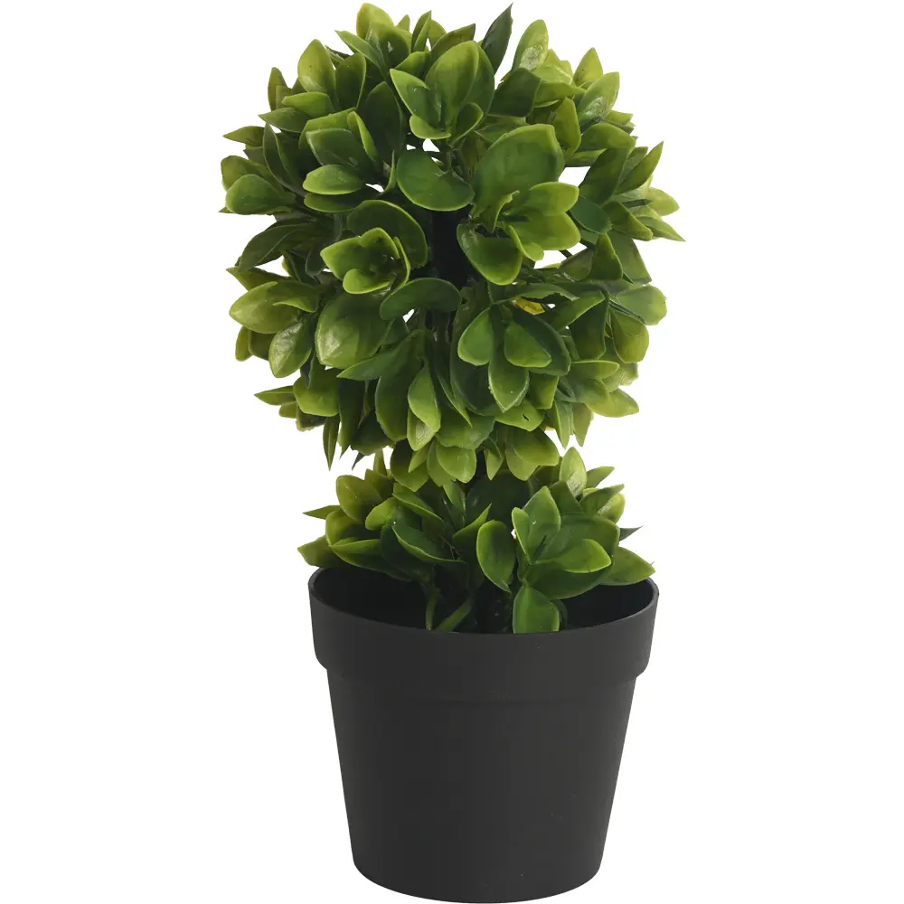 PLANTA CON MACETA