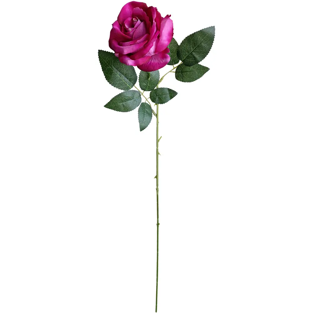 VARA ROSA