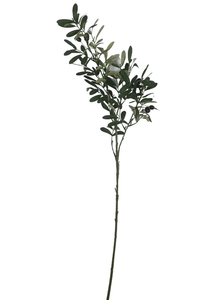 Vara de Olivo 92CM