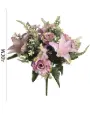 RAMO Camellia bush x 11