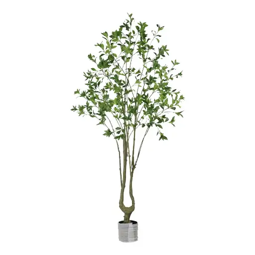 [631429] Pieris japonica artificial 210cm
