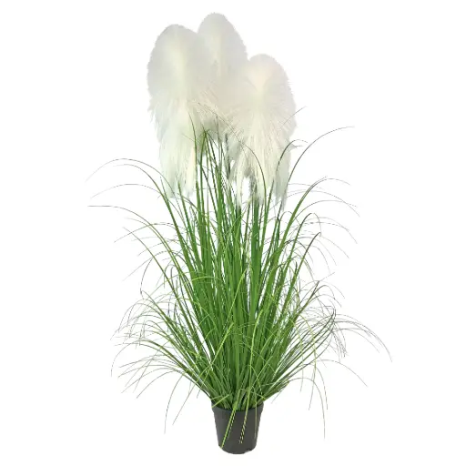 [631368] Pampa*3 en maceta 120cm 3头布芦苇120CM