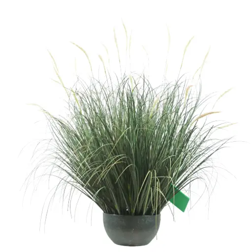 [631375] Graminada setaria artificial 81cm 