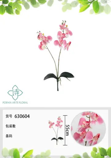 [630604] Vara orquideax2 con hoja 带叶2叉蝴蝶兰55Cm