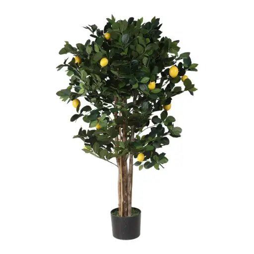 [631335] Limonero Con Maceta 120cm