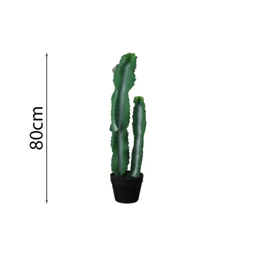 [631517] Euforbia candelabro 80cm