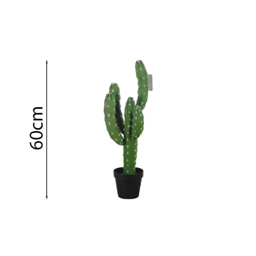 [631518] Chichipe 60cm