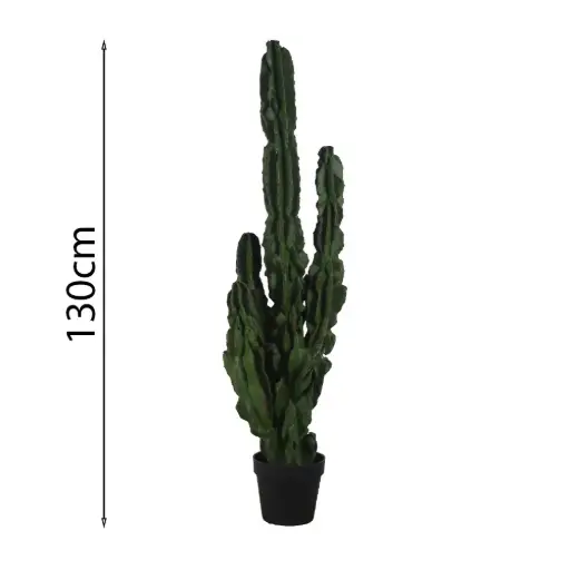[631522] Euforbia candelabro 130cm