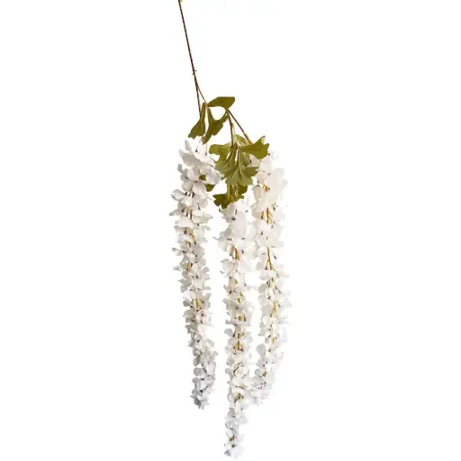 Vara Wisteria sinensis Crema 130cm
