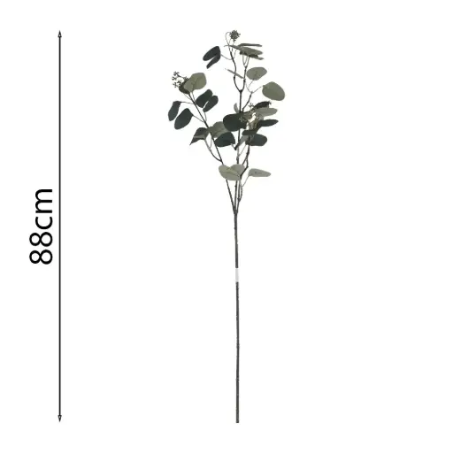 [631642.1] Vara de Eucalipto 88cm