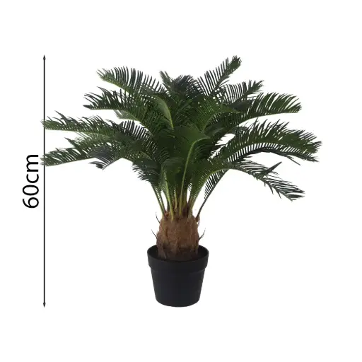[631692] Planta Cyca 60cm