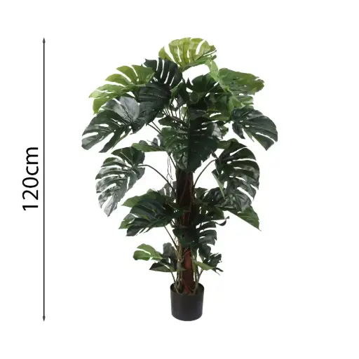 [631563] MONSTERA CON MACETA 130CM