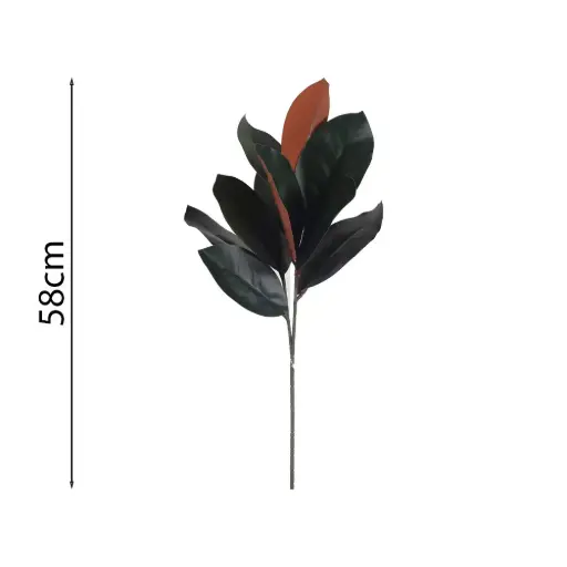 [631672] Hoja Magnolia 58cm