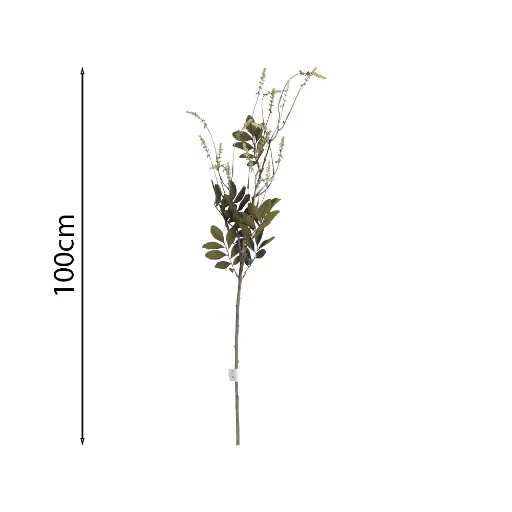 Vara de Acacia Silvestre 100cm