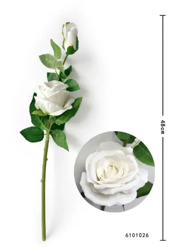 [6101026] ROSA TALLO CORTO