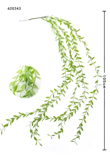 [620243] TIRA VERDE