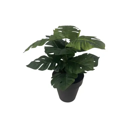 [620229] PLANTA CON MACETA MONSTERA/CALATHEA 45CM