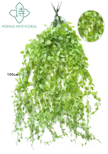 [630327] TIRA VERDE