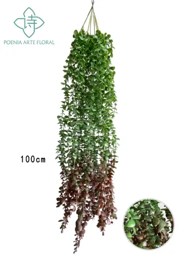 [630328] TIRA VERDE PLANTA