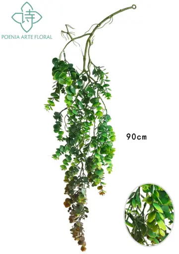 [630472] PLANTA COLGANTE
