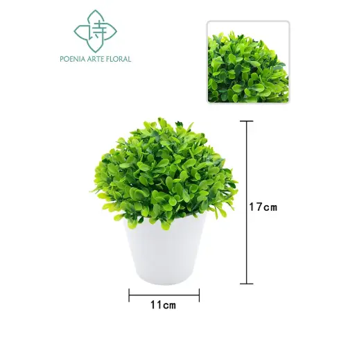 [630476] PLANTA CON MACETA