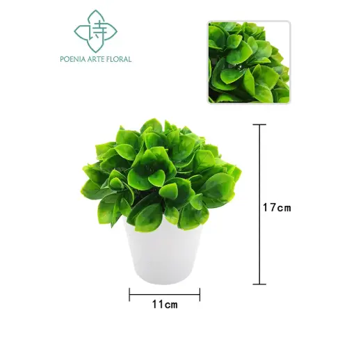 [630478] PLANTA CON MACETA