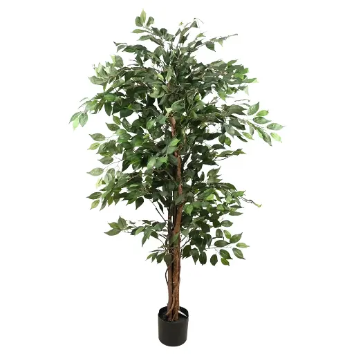 [630530] PLANTA FICUS CON MACETA 170CM