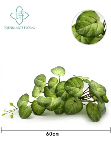 [630526] COLGANTE 20"PLANTA BUSH X29LVS