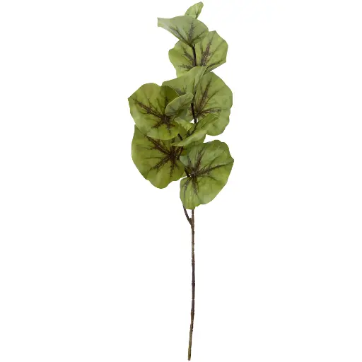 [630746] VARA HOJA DE LOTO 70CM