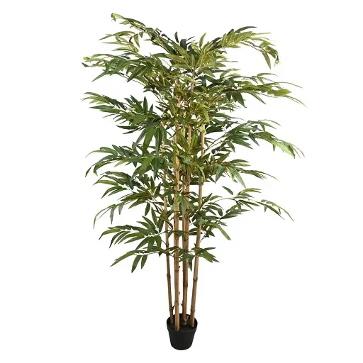 [630776] 180CM Bamboo Tree x5W/1008Lvs