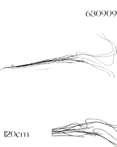 [630909] RAMA FICUS TORTUOSO 135CM