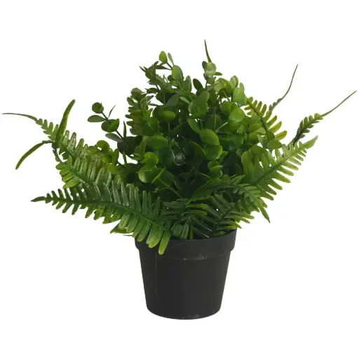 [630560] PLANTA CON MACETA
