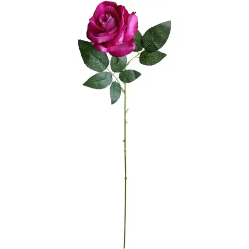 [630980] VARA ROSA