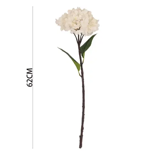 [630945] VARA HORTENSIA