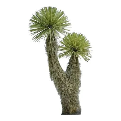 [631216] Yucca rostrata ARTIFICIAL 211CM
