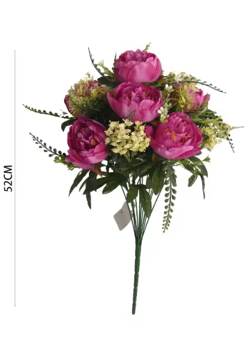 [631072] Peony bush X 13