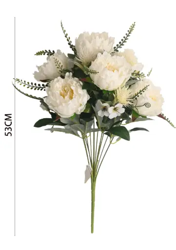 [631073] Chinese Peony bush X 13