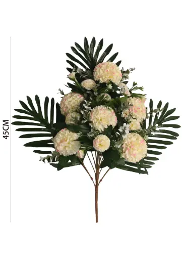 Carnation half bush X 12