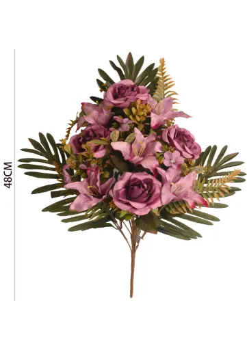 Lily half bush x 12