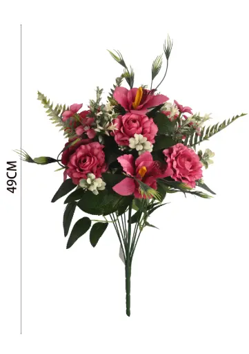[631078] RAMO Camellia bush x 13