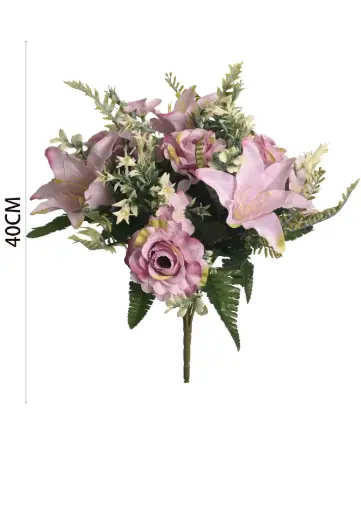 RAMO Camellia bush x 11
